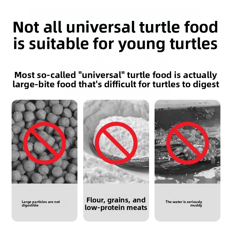 Fulepets Aliments pour tortues - Baby Food With Protein avis et prix