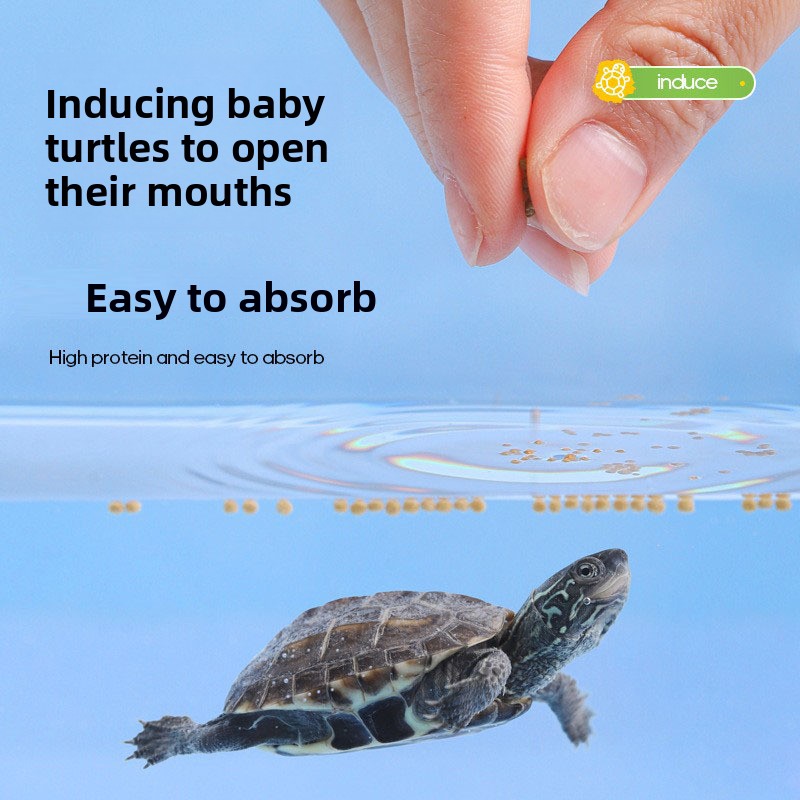 Fulepets Aliments pour tortues - Baby Food With Protein avis et prix