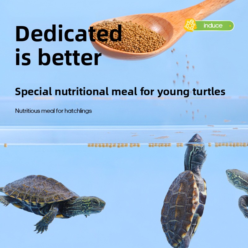 Fulepets Aliments pour tortues - Baby Food With Protein avis et prix