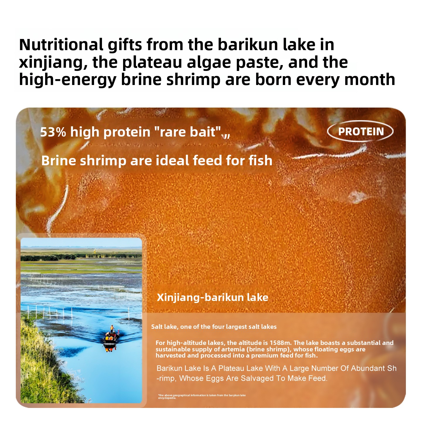 SANKii Arthémie de crevettes e - Baby Food With Protein avis et prix