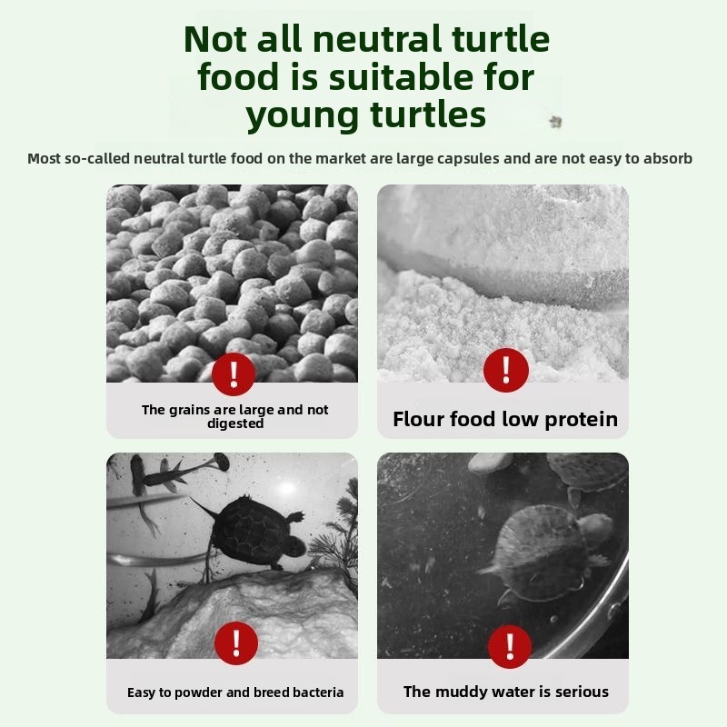 Nai chong Hatchling Turtle Foo - Baby Food With Protein avis et prix