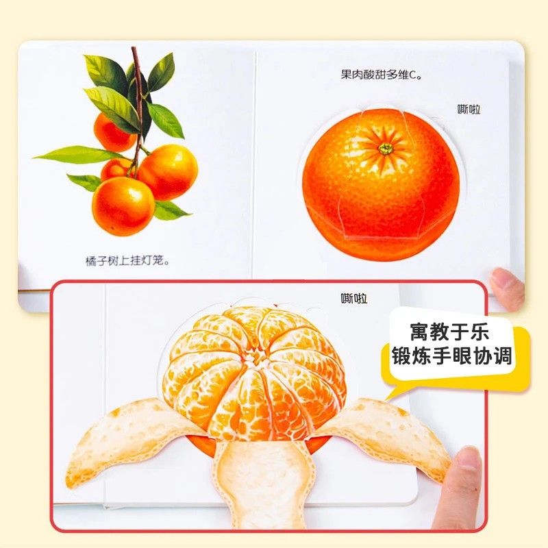 Flipbook pour l'éducation des  - Baby Food Year Old avis et prix